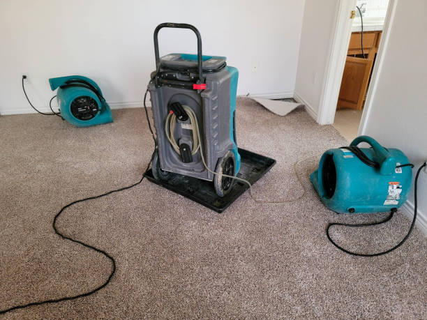 Best Local water damage restoration  in Olympia, SC