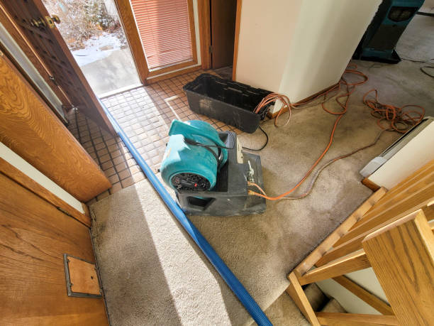 Best Water damage restoration near me  in Olympia, SC