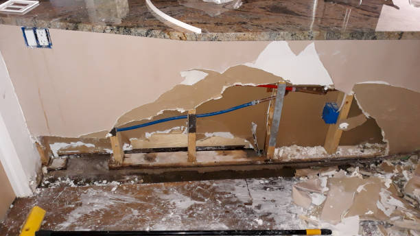 Best Flooded house restoration  in Olympia, SC