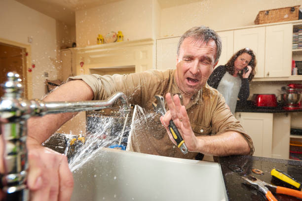 Best Professional water damage repair  in Olympia, SC